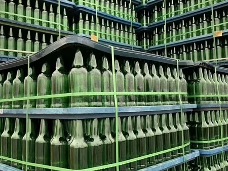 Latas y botellas –1/2x028 flejes de PET de relieve verde utilizadas en una máquina automática 
