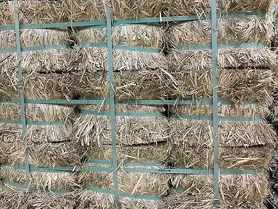 Empacado de hierba: Flejes de PET de bobinas que pesan hasta 330kg 